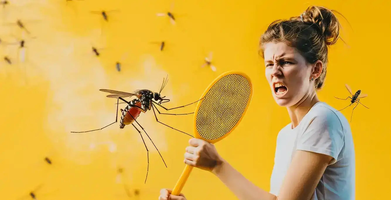 Load video: Zapaway Solutions insect mosquito swatter